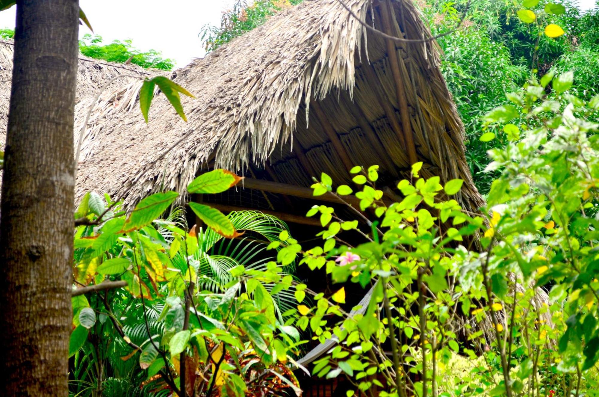 Cabana Wiwa Tayrona Los Naranjos Exterior photo