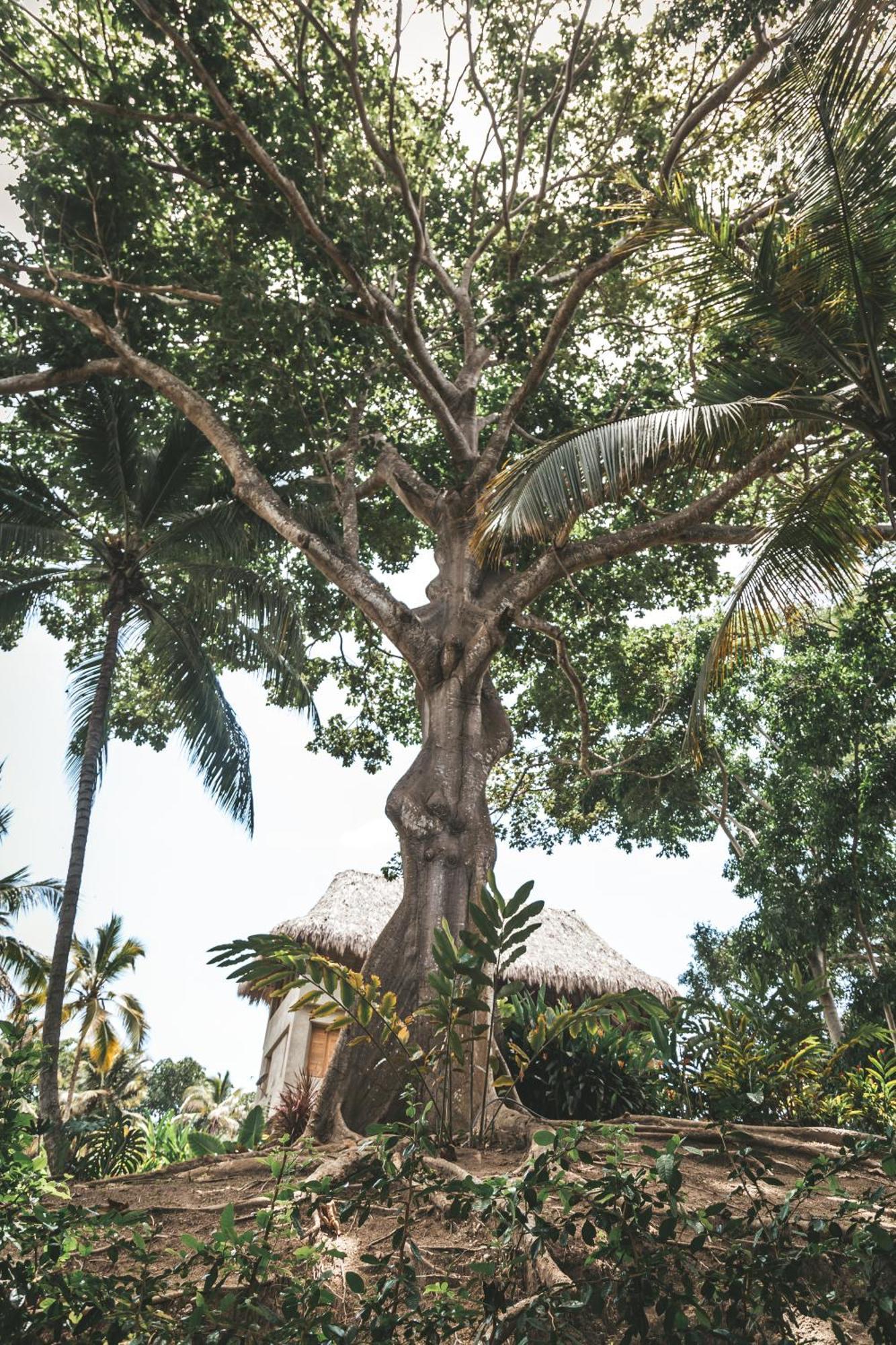 Cabana Wiwa Tayrona Los Naranjos Exterior photo